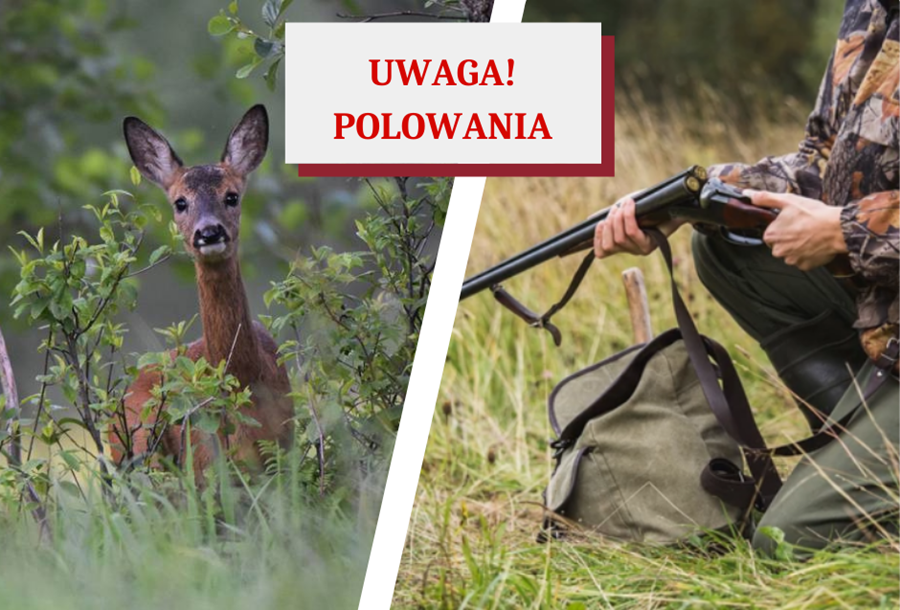 Zdjęcie: INFORMACJA ZARZĄDU KOŁA ŁOWIECKIEGO